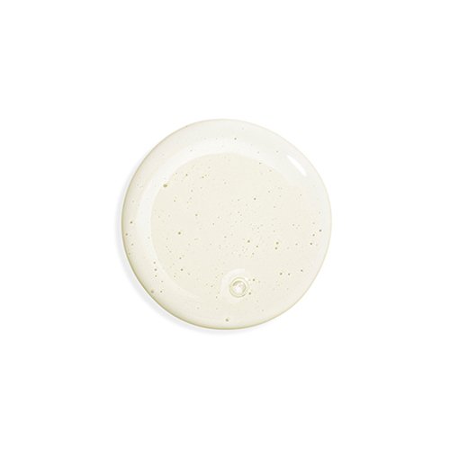 HAIR RITUEL BY SISLEY-Purity Gentle Cleansing Care